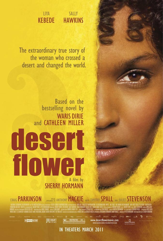 沙漠之花 Desert Flower (2009) 28.38GB